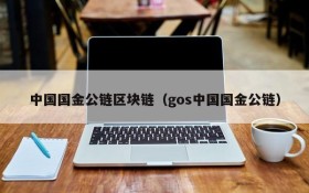 中国国金公链区块链(gos中国国金公链)
