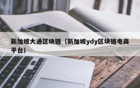 新加坡大通区块链(新加坡ydy区块链电商平台)