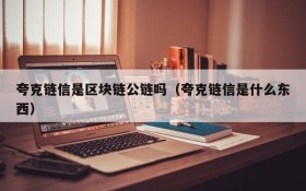夸克链信是区块链公链吗(夸克链信是什么东西)