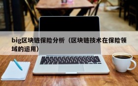 big区块链保险分析(区块链技术在保险领域的运用)