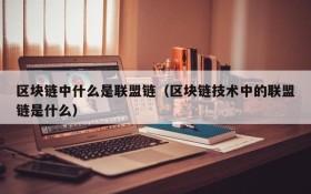 区块链中什么是联盟链(区块链技术中的联盟链是什么)