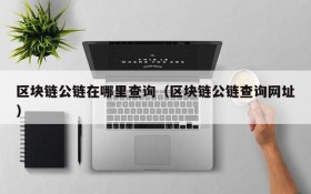 区块链公链在哪里查询(区块链公链查询网址)