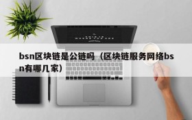 bsn区块链是公链吗（区块链服务网络bsn有哪几家）