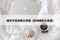 相对于区块链公有链（区块链的公有链）