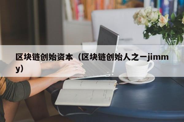 区块链创始资本（区块链创始人之一jimmy）