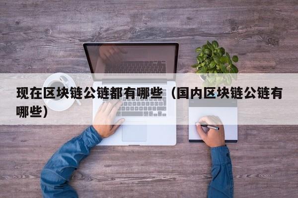 现在区块链公链都有哪些（国内区块链公链有哪些）