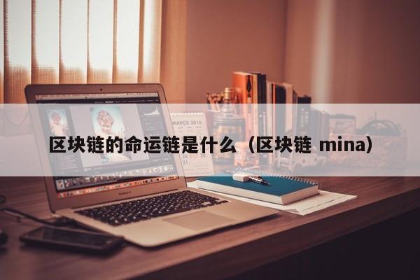 区块链的命运链是什么（区块链 mina）