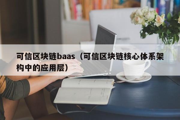 可信区块链baas（可信区块链核心体系架构中的应用层）
