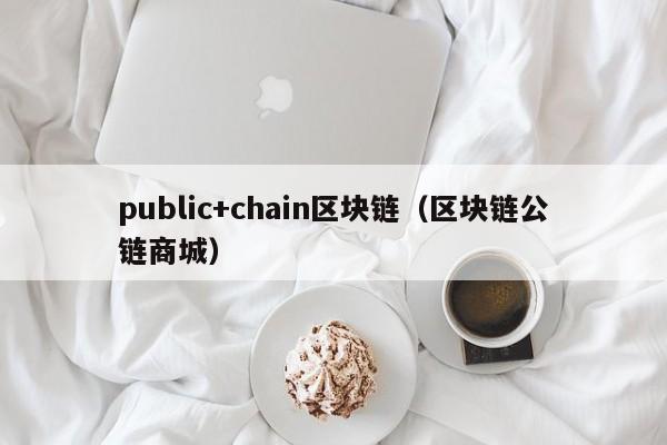public+chain区块链（区块链公链商城）
