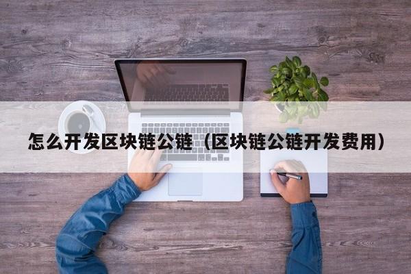 怎么开发区块链公链（区块链公链开发费用）