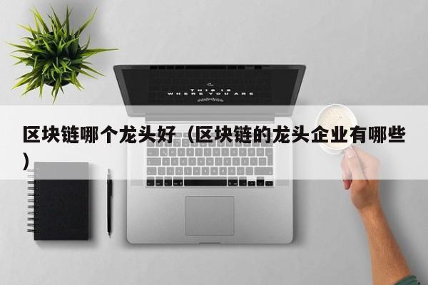 区块链哪个龙头好（区块链的龙头企业有哪些）