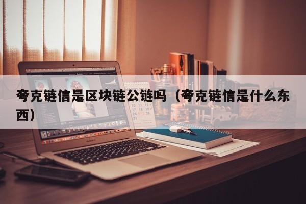 夸克链信是区块链公链吗（夸克链信是什么东西）