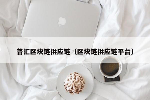 普汇区块链供应链（区块链供应链平台）