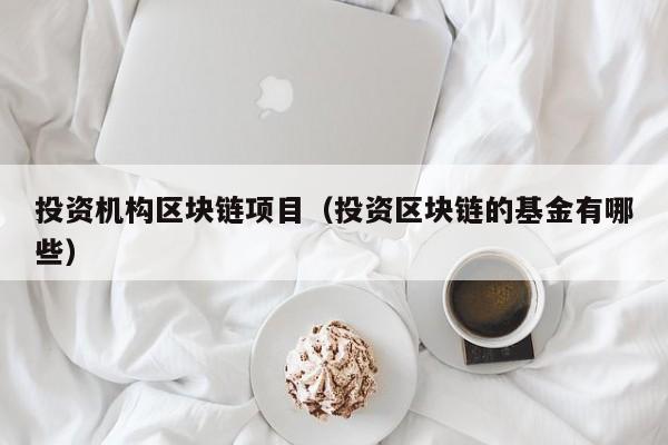 投资机构区块链项目（投资区块链的基金有哪些）