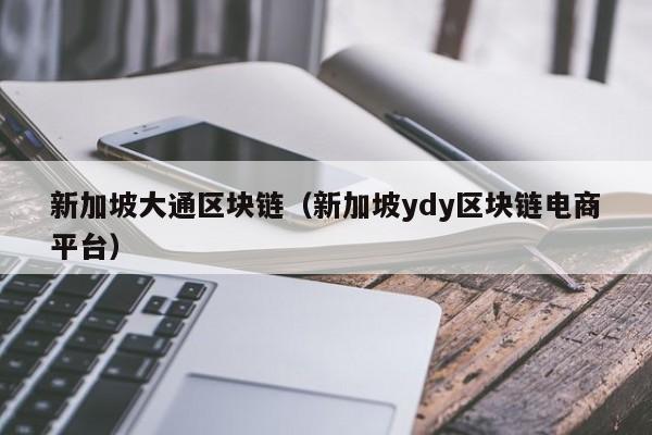 新加坡大通区块链（新加坡ydy区块链电商平台）
