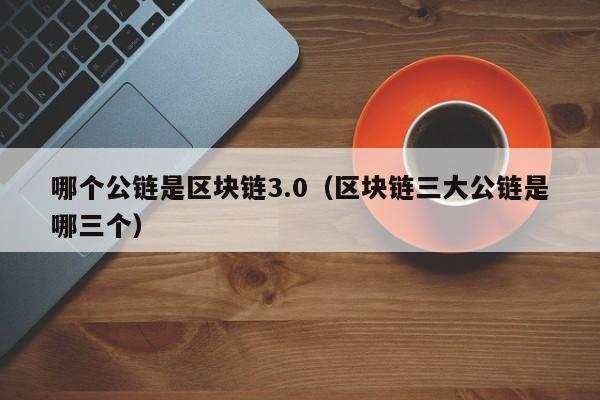 哪个公链是区块链3.0（区块链三大公链是哪三个）