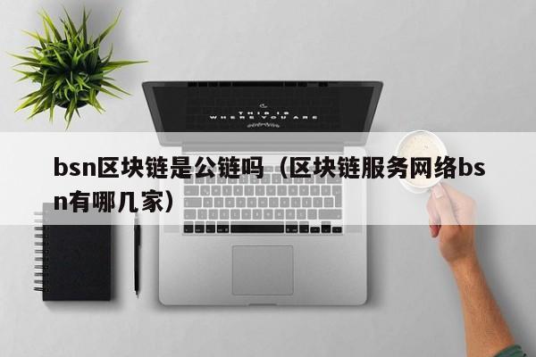 bsn区块链是公链吗（区块链服务网络bsn有哪几家）