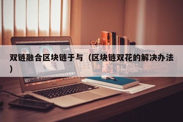 双链融合区块链于与（区块链双花的解决办法）