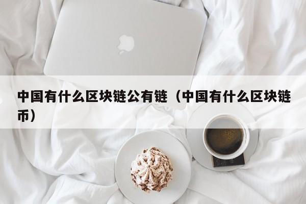 中国有什么区块链公有链（中国有什么区块链币）